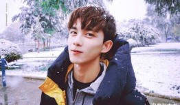 导演吃瓜吴磊视频大全下载,视频大全独家下载，揭秘幕后花絮