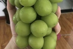 cc吃瓜视频,娱乐圈幕后风云大揭秘