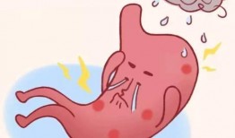 吃牛瓜好不好消化呀视频,揭秘牛瓜的消化效果与食用建议