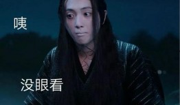 吃瓜没带刀的视频,一场轻松幽默的视觉盛宴