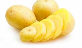 吃蜜瓜和土豆能减肥吗视频,揭秘神奇搭配助你轻松瘦身