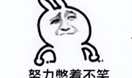 吃瓜表情怎么破解视频,技术揭秘与破解之道