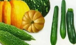 各种吃瓜视频哪里可以买,一网打尽美食购买攻略