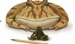 可爱搞怪吃瓜恐龙视频在线观看,在线观看搞笑恐龙视频盛宴