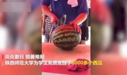 吃瓜高校视频,一场校园风云录