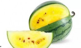 圆丑瓜怎么吃最好吃视频,解锁最佳食用之道