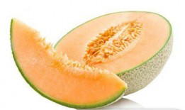 小猫可以吃的哈密瓜吗视频,揭秘哈密瓜在猫咪饮食中的适宜性