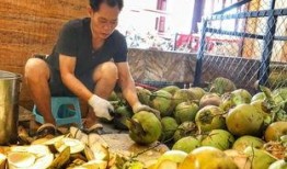 海南三亚网红吃瓜视频,揭秘热带风情下的美食诱惑