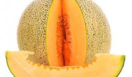 小猫可以吃的哈密瓜吗视频,揭秘哈密瓜在猫咪饮食中的适宜性