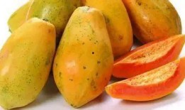 吃瓜吃熟透的好吗视频,揭秘“吃瓜吃熟透”视频背后的趣味与思考