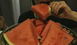 大号冷门吃瓜哥视频在哪看